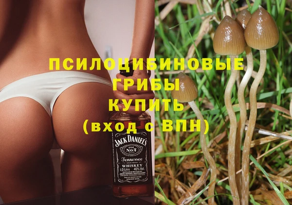 меф Белокуриха