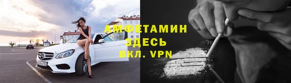 шишки Беломорск