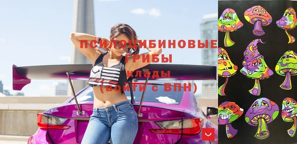 ГАЛЛЮЦИНОГЕННЫЕ ГРИБЫ Белоозёрский