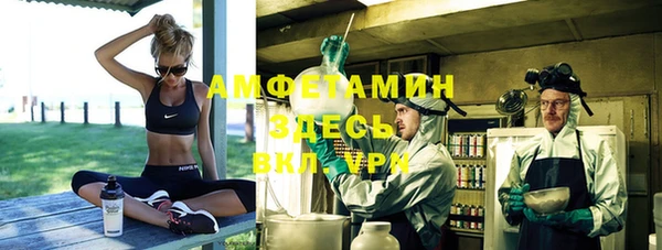 шишки Беломорск