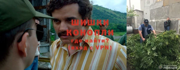 шишки Беломорск