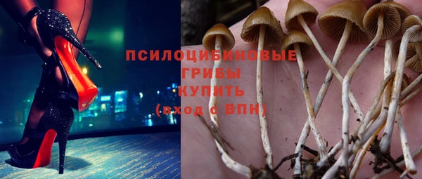 шишки Беломорск