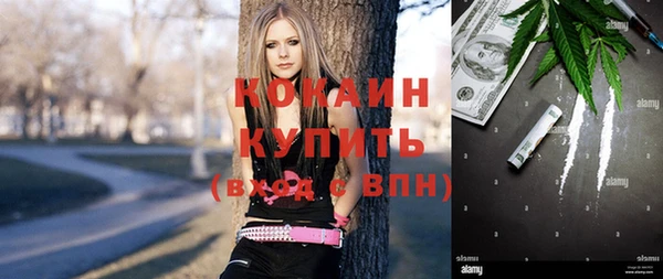 шишки Беломорск
