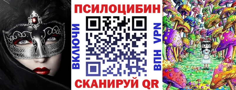 где продают наркотики  Бутурлиновка  Галлюциногенные грибы Cubensis 